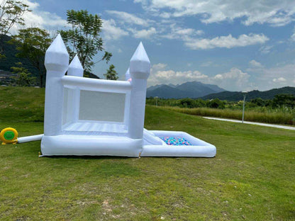 Bouncy Castle with Slide and Ball Pit
